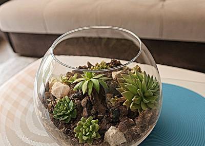 Déco terrarium plantes à Igny